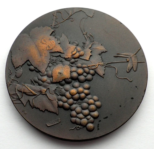 GRAPEVINES, LEAVES, A DRAGONFLY, AND A GRASSHOPPER Art Medal 60.3mm Rare. BB7