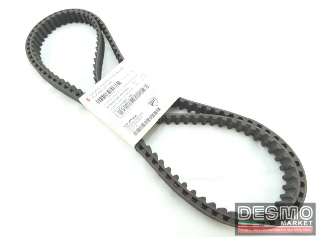 Genuine Ducati Cam Timing Belt SetFits 748 S4 S4R etc73710101A ST4S ST4