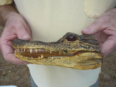 Gator Def (G-Def-93) 6-1/8