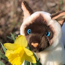 Auswella Plush Floppy Siamese Cat - Plush Siamese Cat Kitten Raja