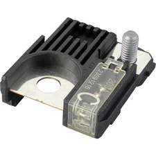 Omega Environmental Technologies 48-10029 Main Fuse