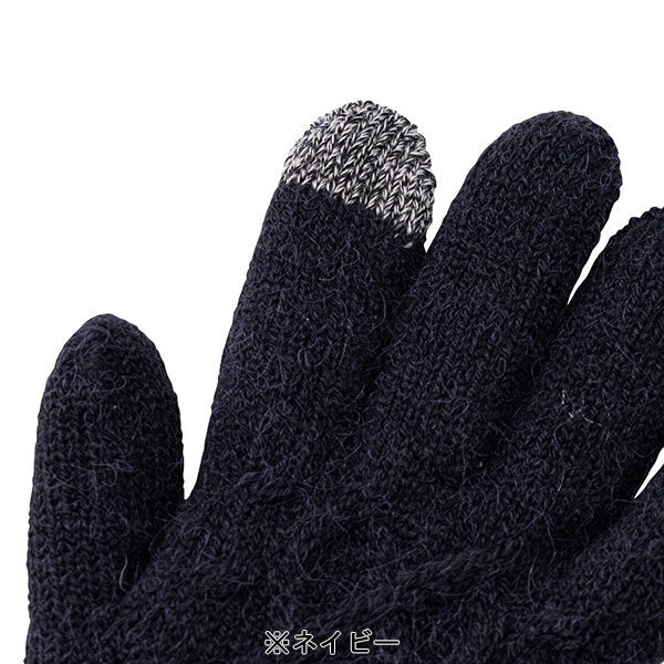 PEANUTS Snoopy Smartphone compatible gloves checkered pattern Navy