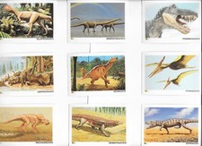 DINOSAURS COMPLETE SET OF 80 EDUCATIONAL FACT CARDS 1992 BEAUTIFUL ARTWORK