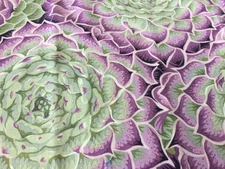Kaffe Fassett Collective. Succulent By Philip Jacobs.