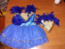 Girls Blue Feather Costume Leotard/Dress With Headset