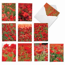 10 Assorted All Occasion Blank Note Cards with Envelopes - POPPY LOVE M2019