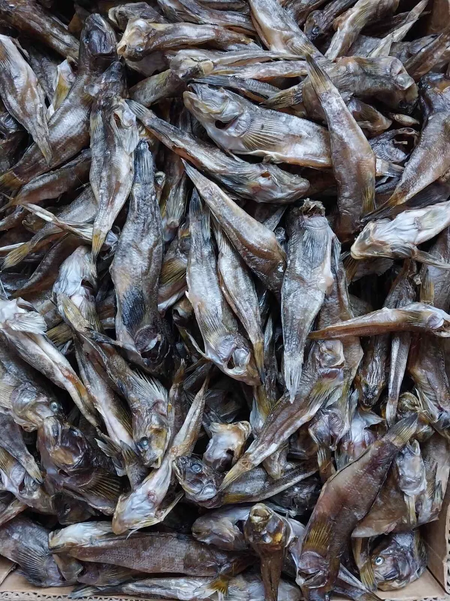 Stockfish Dried fish. Salty fish. Smelt. Bichok. 250gram or 8,8oz