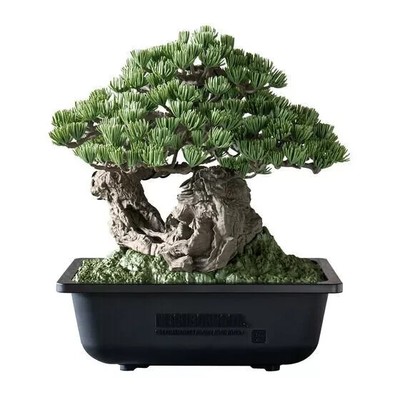 SRL BANDAI SPIRITS BONSAI MODEL KIT Figure Limited New Japan | eBay