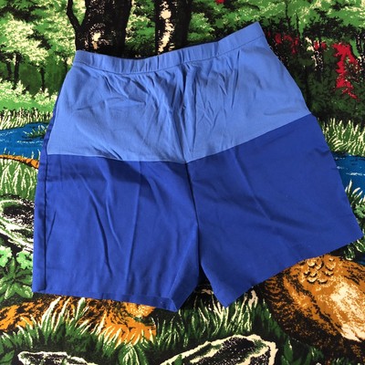 baby blue high waisted shorts