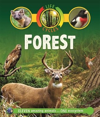Sean Callery Life Cycles: Forest (Paperback) Life Cycles