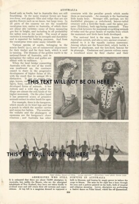 ABORIGINES AUSTRALIA / REVERSE MAP EXPLORER ROUTE RAIL c 1950 ILLUSTRATION PRINT