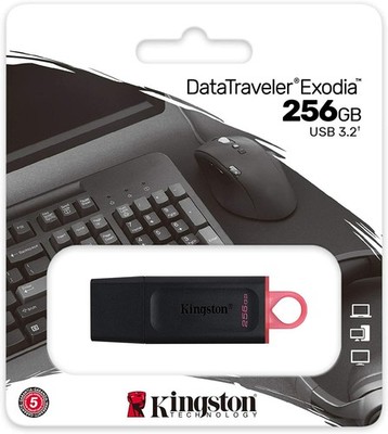Kingston DTX/256GB DataTraveler Exodia USB 3.2