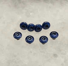 Blue Torx Screws For Benchmade Bugout 535 Mini Bugout Bailout 537 Handle Scales