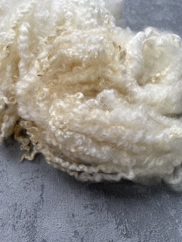 Blue Faced Leicester LOCKS Natural Ivory - SANTA BEARDS Gnomes Felting - Picture 2 of 3