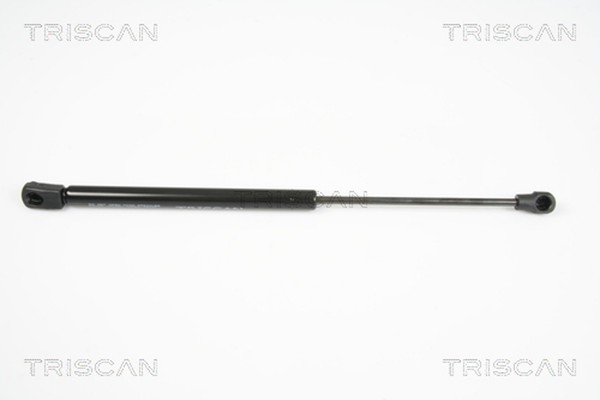 Triscan Gasfeder Heckscheibe 8710 25235 FüR Renault ScÉNic 2 JM0 JM0B JM0H JM1A-image