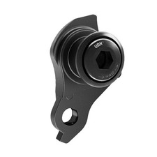 SRAM Universal Derailleur Hanger (UDH)
