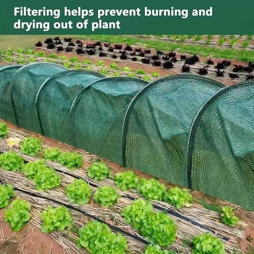 300cm Poly Tunnel Cloche Mini Green House Garden Grow Protect Plant Netting New - Picture 12 of 16