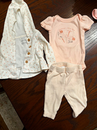 Carter's 3-Piece Baby Girl Outfit Set Newborn Bodysuit Pants Hooded Floral