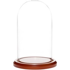 Plymor 4.5" x 8" Glass Display Dome Cloche (Walnut MDF Base)