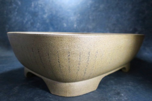 Genuine Japanese Bonsai pot "Zenigo" from Tokoname. - 第 10/17 張圖片