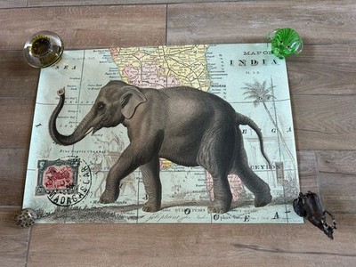 Elephant Themed Map Poster 19.5  x 28  New Rolled