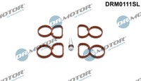 Dr.Motor Automotive DRM0111SL Dichtungssatz AnsaugkrüMmer FüR Alpina, BMW