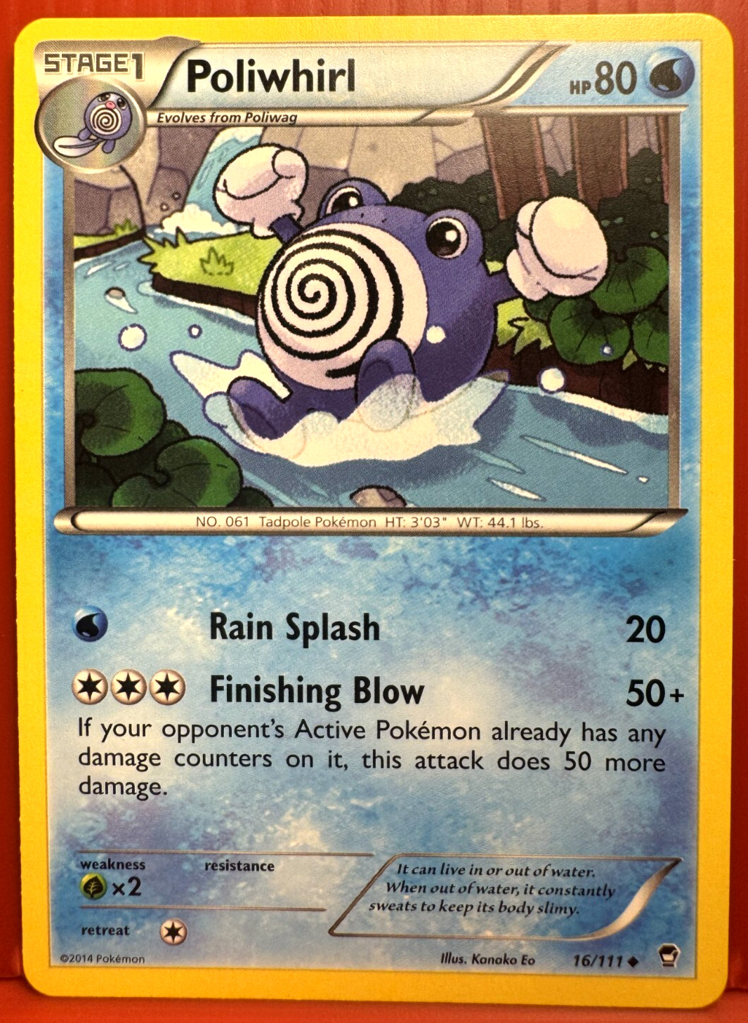Poliwhirl 16/111 -  XY Furious Fists -Pokemon Card 2014