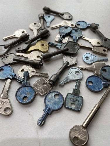 Window Lock Keys Shaw Avocet Cotswold Wellington x 36 Assorted Keys - Imagen 24 de 24