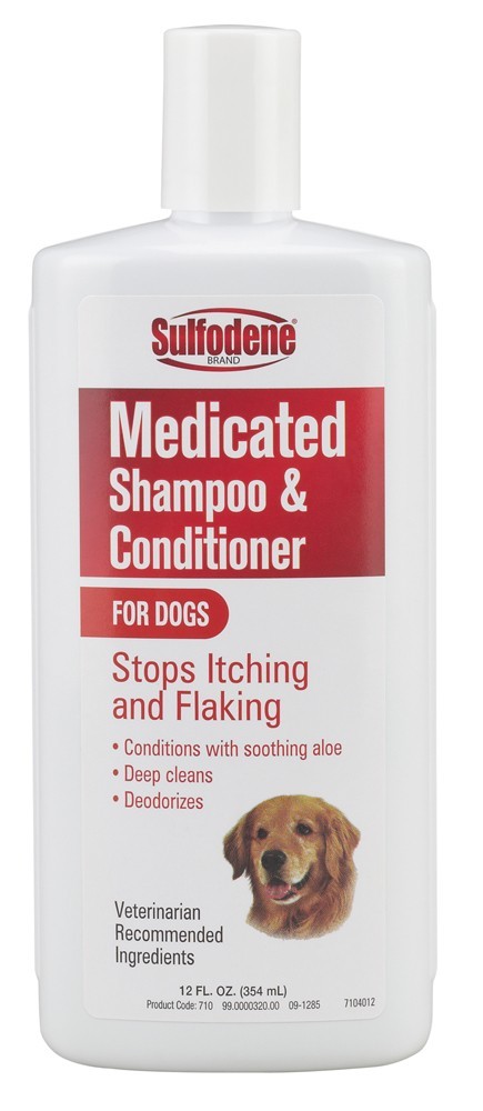 & Conditioner 12 Oz  For Dogs  Anti-itch