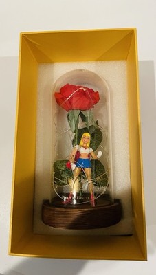 Dream Of Flowers Beauty and The Beast Rose Red Lasts Forever Wood Base lighted