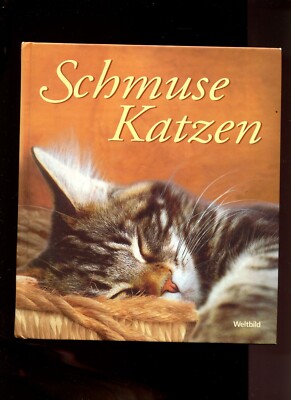 Schmusekatzen -ein Buch, das Katzen kaufen würden