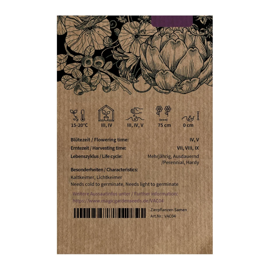 Kulturheidelbeere (Vaccinium corymbosum) Samen – aromatische Früchte, Herbstfärb - Bild 2 von 4