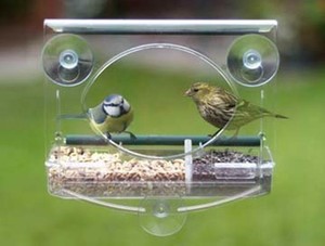 Window Bird Feeder Wild Seed Feeding Table Squirrel Cat Proof
