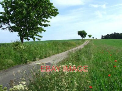 FOTO BAUERNSTRASSE DURCH FELDER SHROPSHIRE DIESE SCHMALE ZUFAHRTSSTRASSE