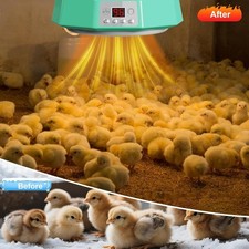 Chicken Coop Heater Timing Chicken Heat Lamp Digital Display with Remote Control