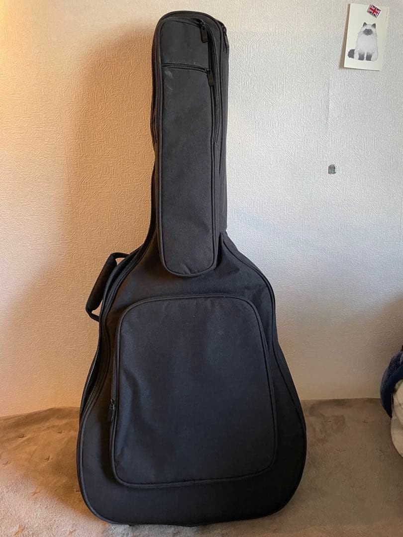 Epiphone Masterbilt J200 ケース付き Acoustic Guitar Epiphone Masterbilt J-200 Aged Vintage Sunburst