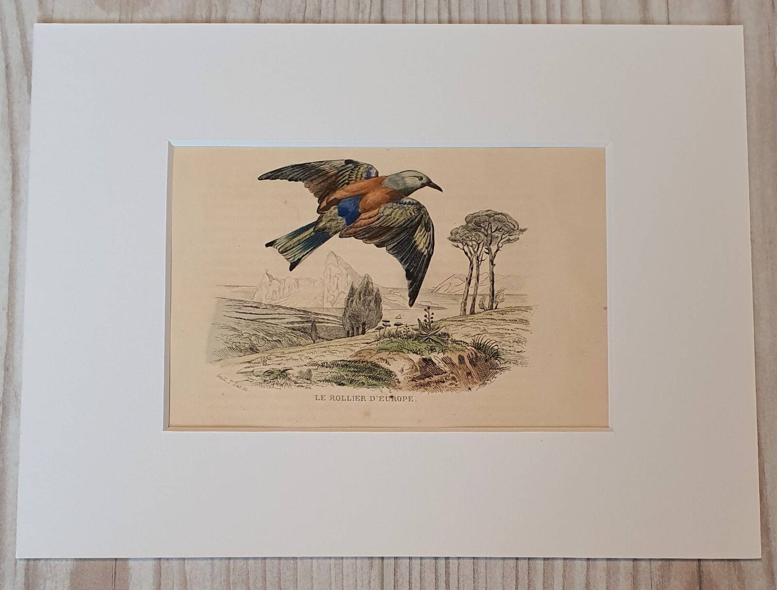 Foto 1 di 5