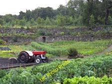 Photo 6x4 Community garden Bridgend/Beul an Atha A very productive commu c2007