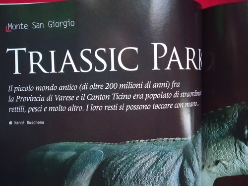 Meridiani Siti UNESCO Lombardia Dinosauri Cenacolo Ecc. - 第 3/7 張圖片