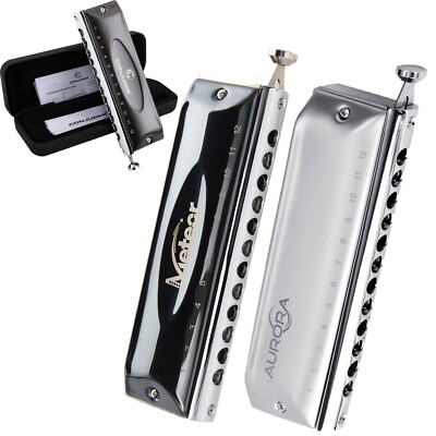 12 Hole Chromatic Harmonica C Key Mouth Organ Professional Harmonica with Case