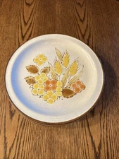 International Stoneybrook 10-1/2" Dinner Plates Rushwood Pattern