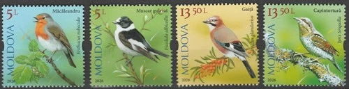 Moldova 2026 Birds, Songbirds 4 MNH stamps