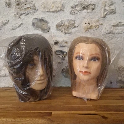 LOT 2 TETES COIFFURE ETUDE MALLEABLE ALBAN + NOEMIE PROFESSIONEL RAPHAEL PERRIER - Photo 1/4