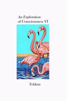Tekkan | An Exploration of Consciousness VI | Taschenbuch | Englisch (2022)