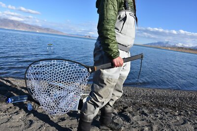 63 Wetfly Titanium Carbon Fiber Net SD Black Fishing Net Lightweight Floating for sale online | eBay 63 Wetfly Titanium Carbon Fiber Net SD Black Fishing Net Lightweight Floating for sale online | eBay