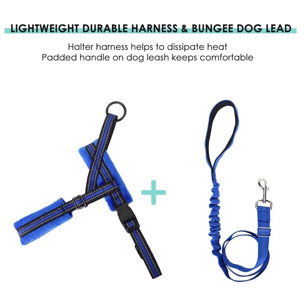 Dog Harness and Leash Set, Soft Padded Small Dog Harness, Neck & Chest Adjust...