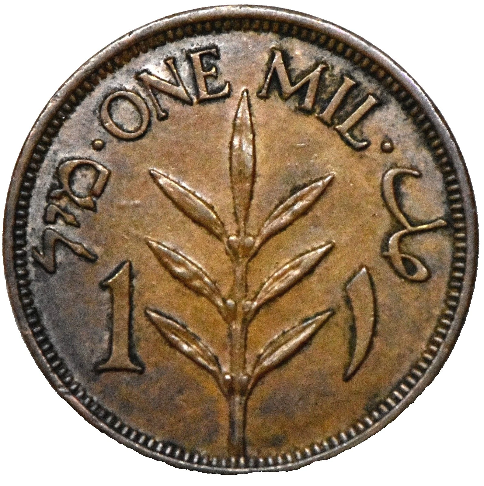 Middle Eastern 1943 Year Bronze Coins