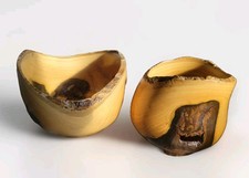 2 VTG Splated Live Edge Natural Holes Decorative Wood Bowls Cottage Core READ