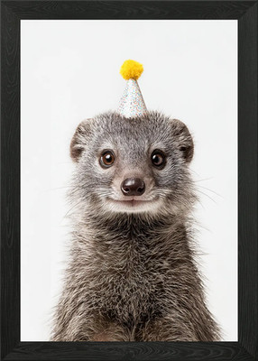 Mungo mit Partyhut Portrait gerahmtes Wandbild Poster Leinwanddruck Bild