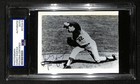 Sandy Koufax Signed/Autographed 3.5x5 Photo Postcard HOF PSA/DNA BA205983